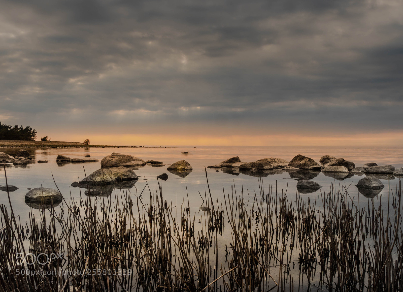 Panasonic Lumix DMC-GX8 sample photo. Själsö gotland photography