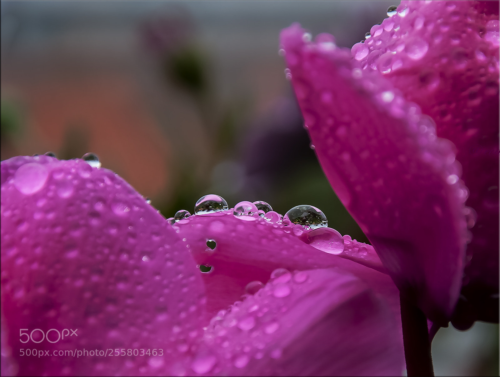 Nikon D90 sample photo. Piove e piove photography