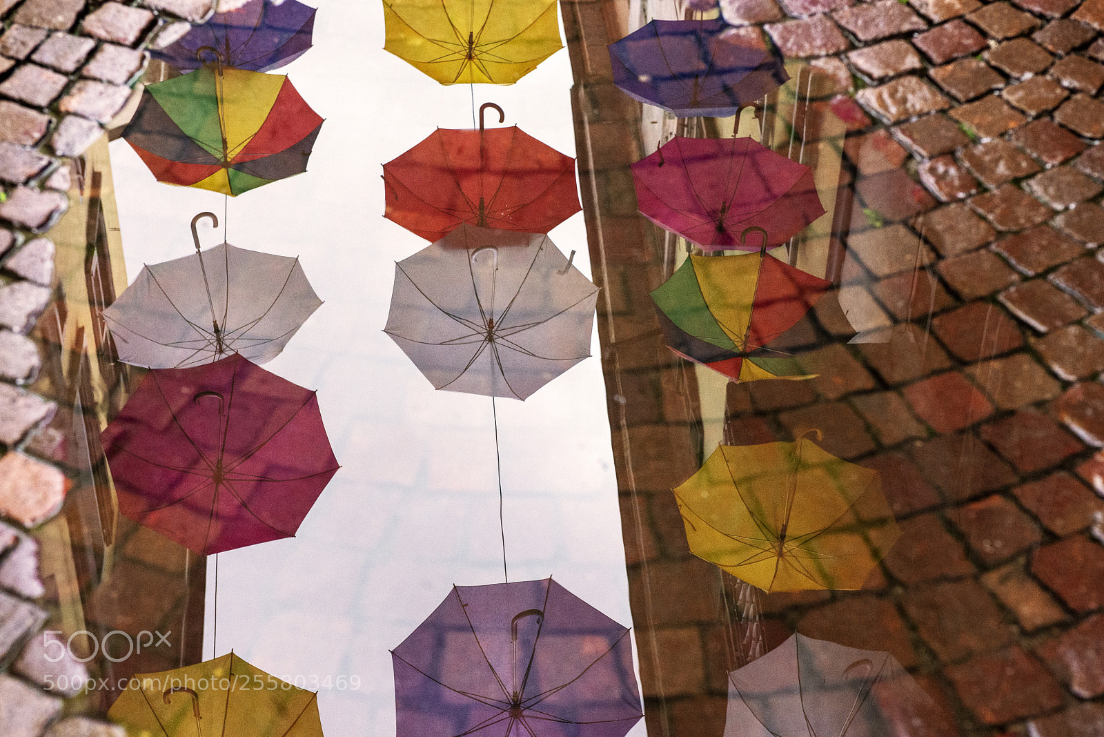 Nikon D610 sample photo. Ombrelli ad arona photography