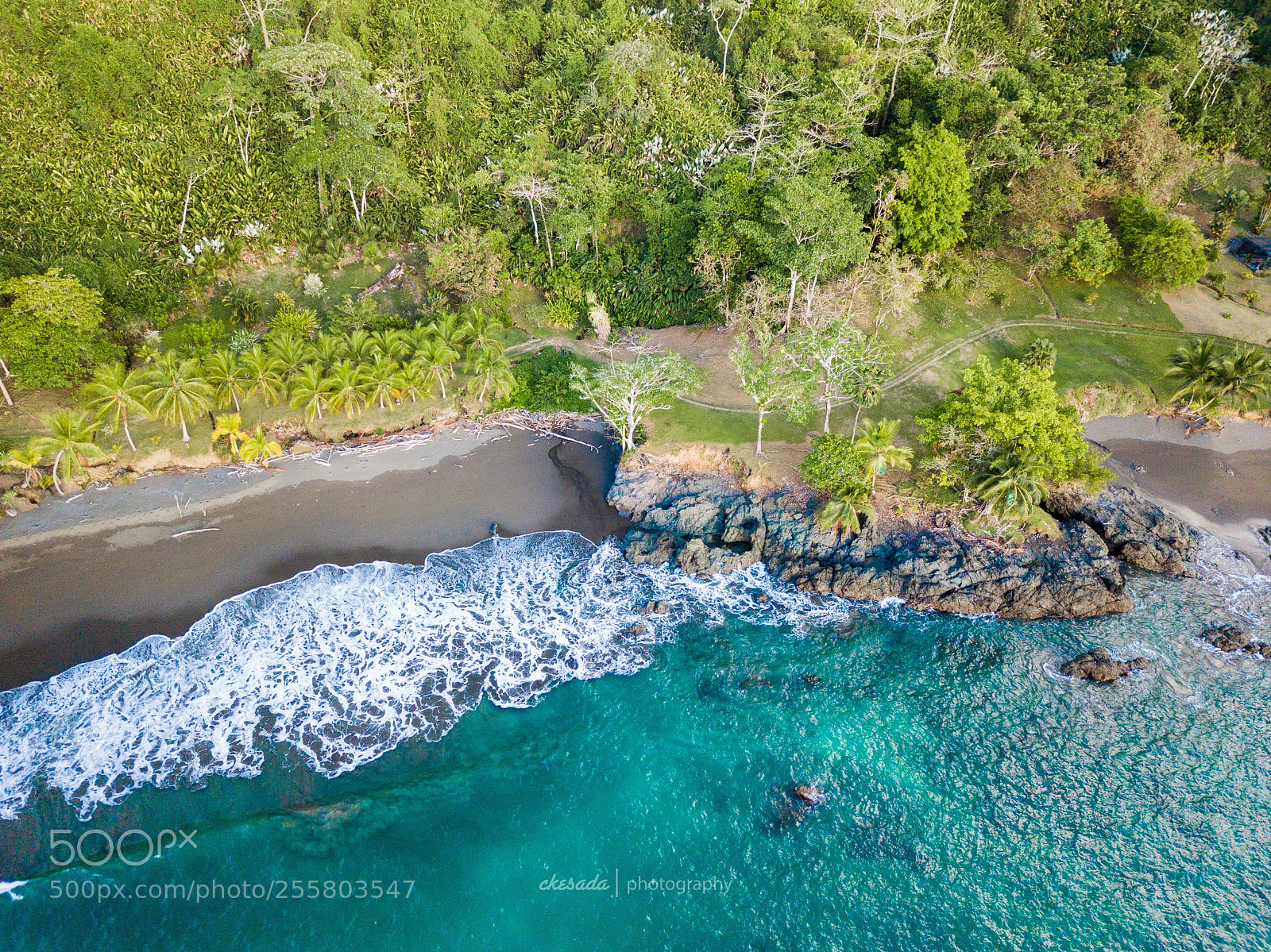 DJI FC220 sample photo. Corcovado national park in photography