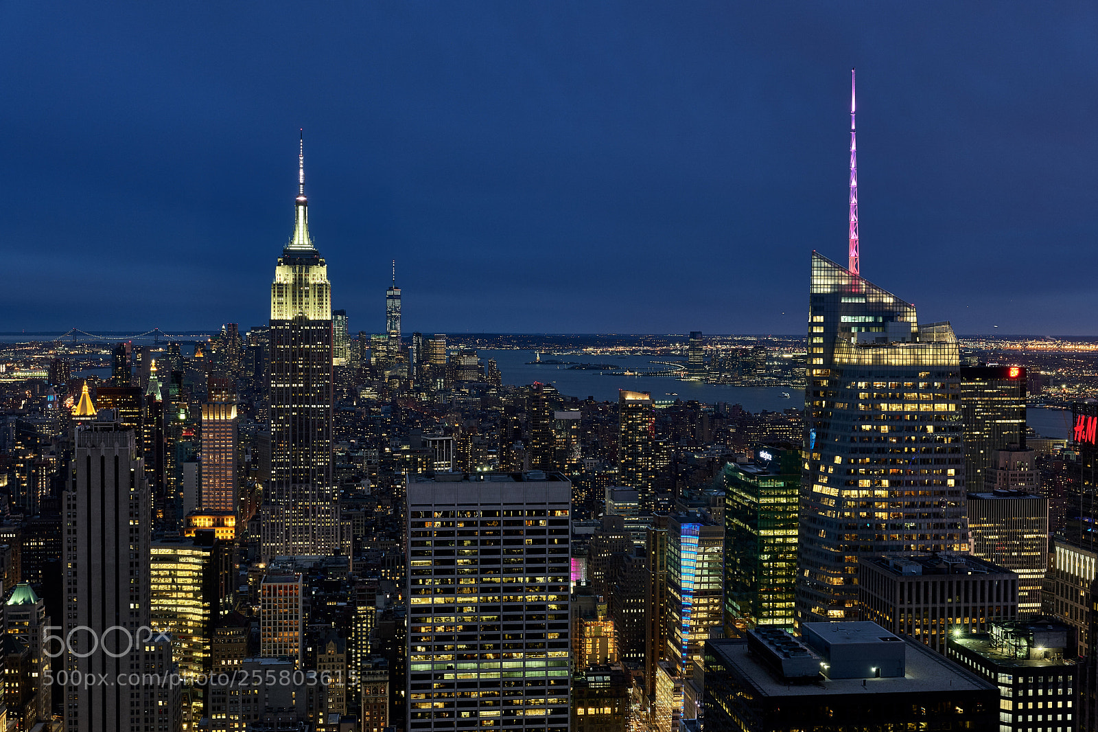 Leica SL (Typ 601) sample photo. New york city iv photography