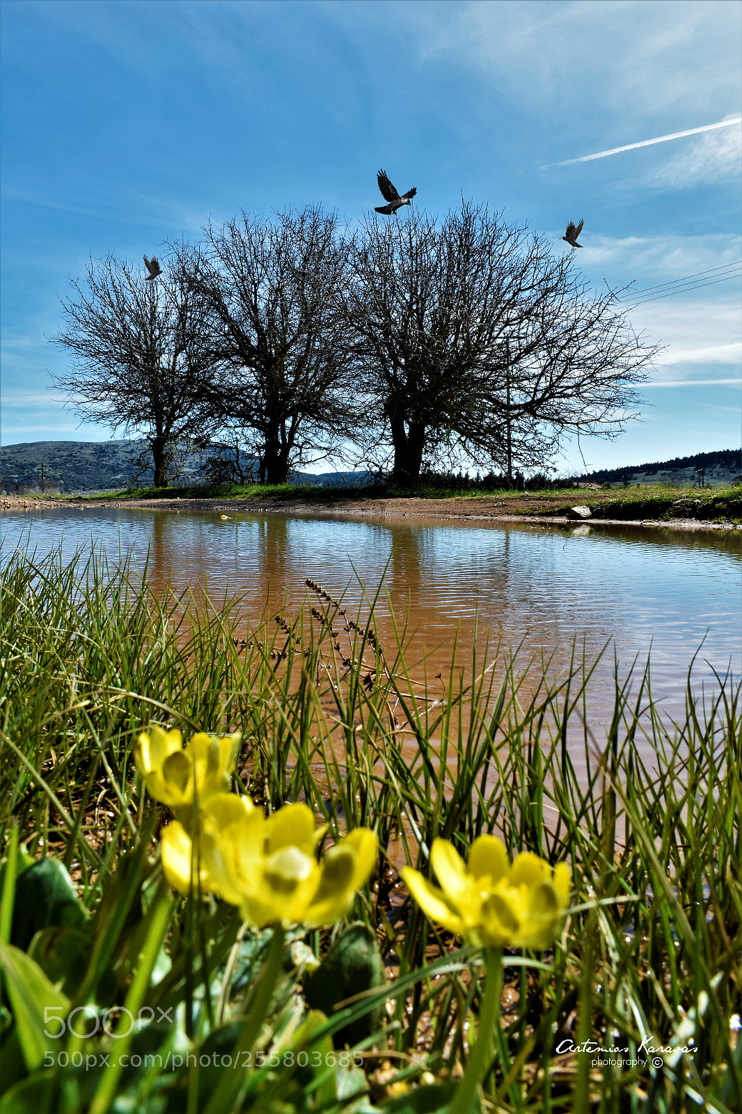 Nikon D5300 sample photo. Nature life . photography