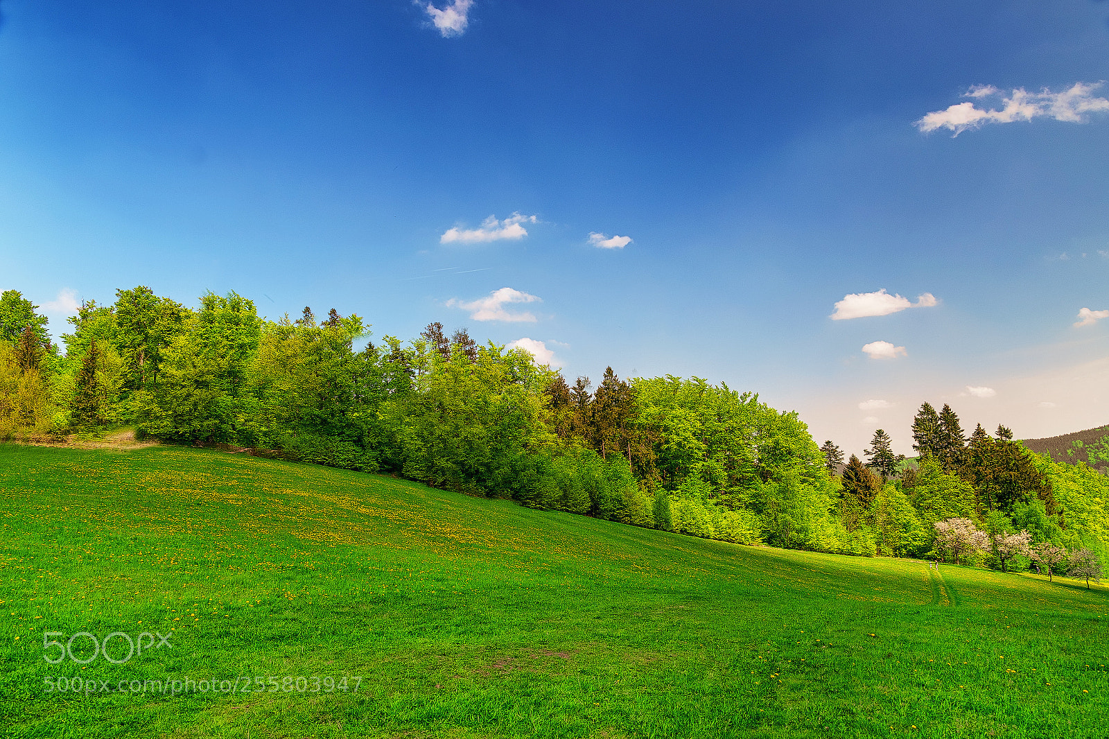 Nikon D5600 sample photo. Jarní vysočinou ... photography