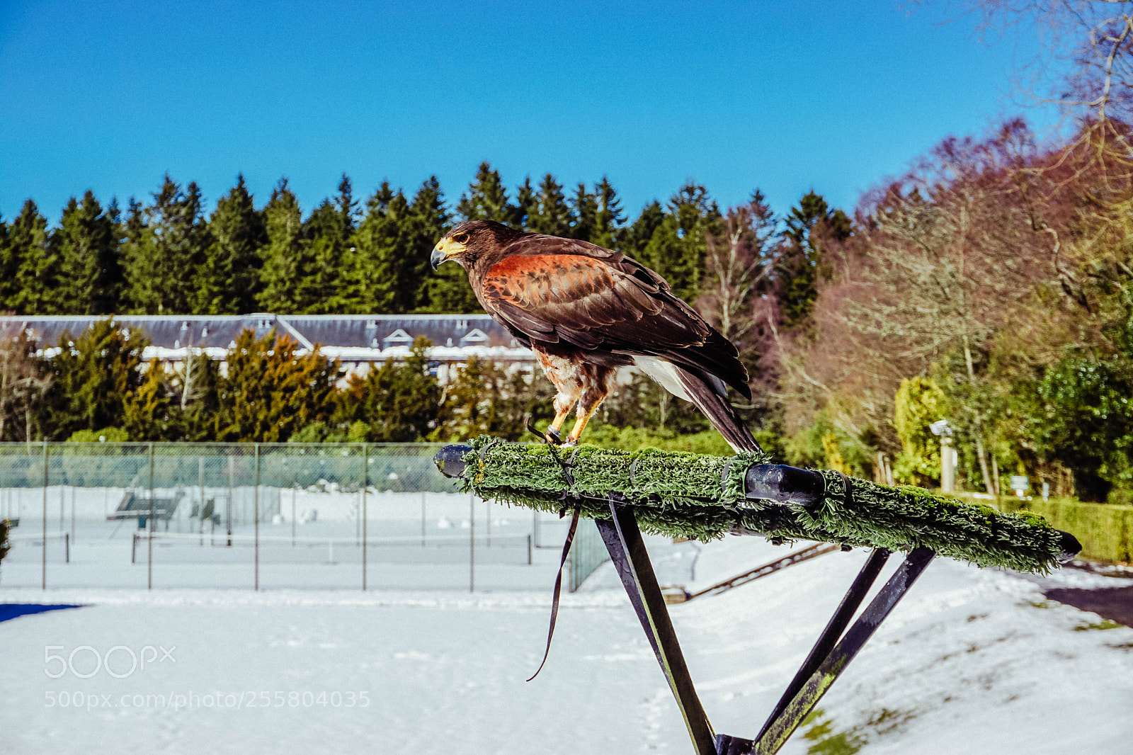 Sony a6000 sample photo. Dsc00108-1.jpg photography