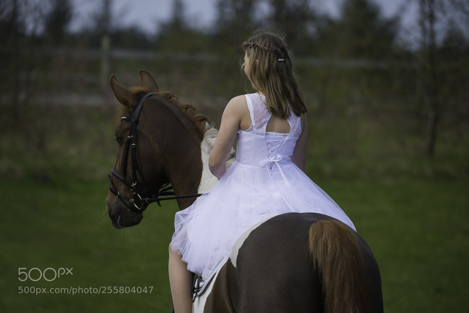 Nikon D800 sample photo. Luna photography