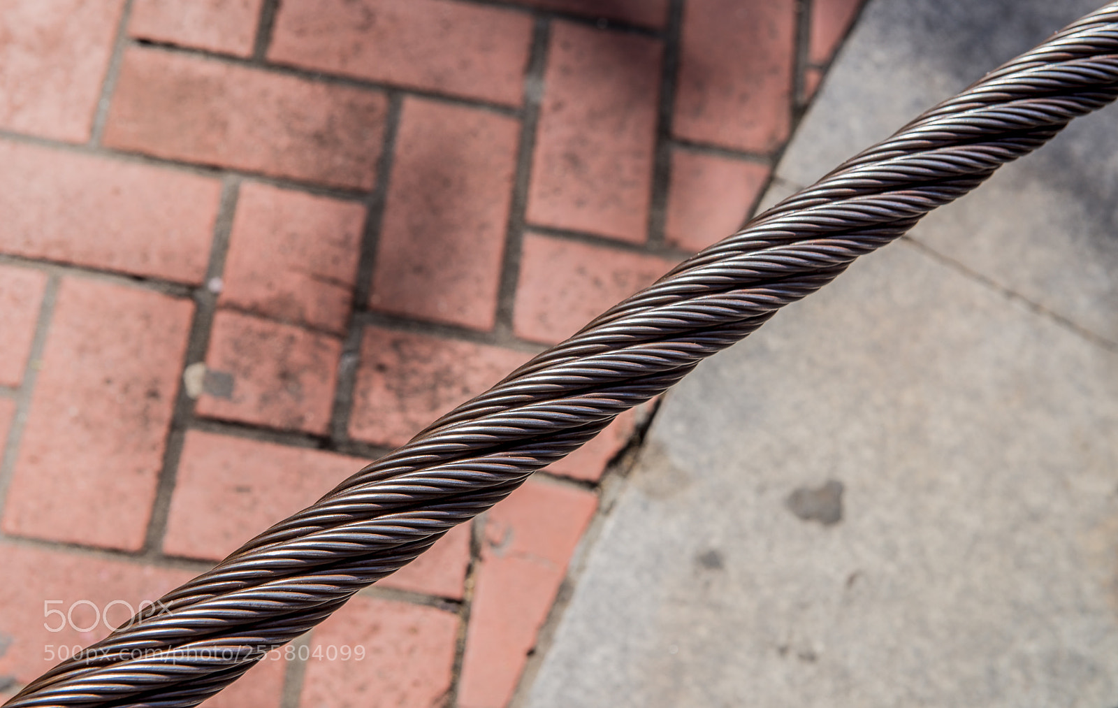 Nikon D610 sample photo. Cable photography