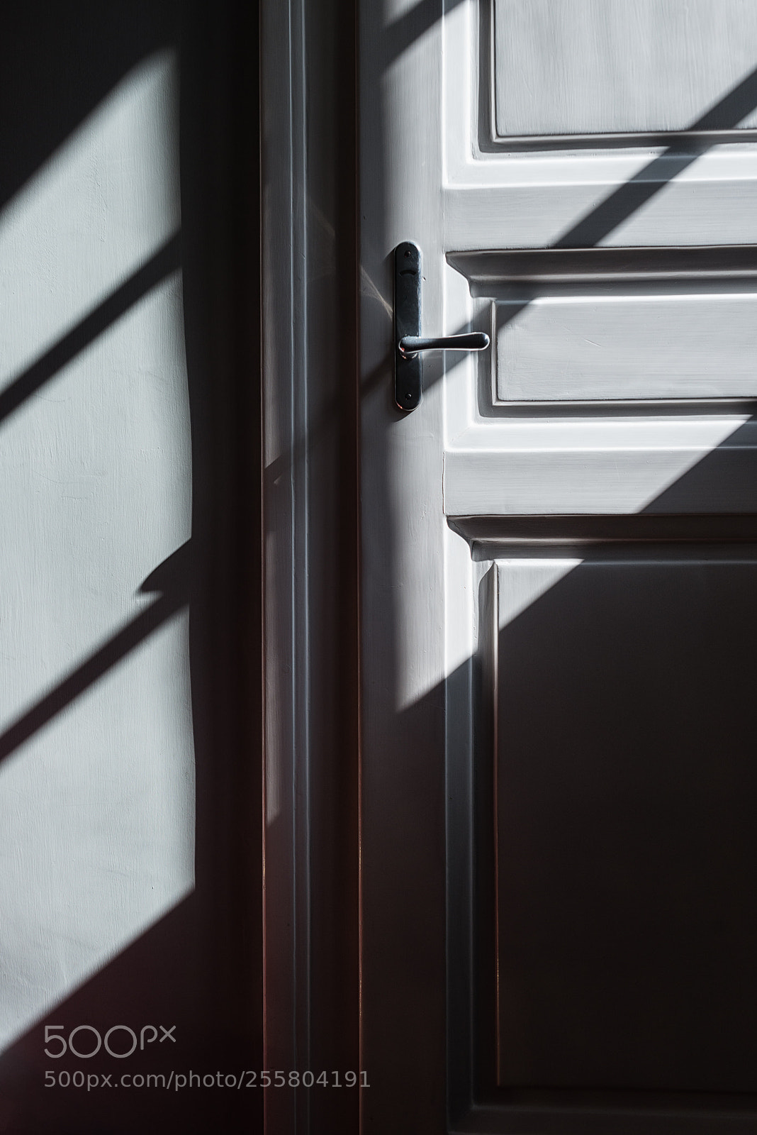 Nikon D800 sample photo. Indoor photography