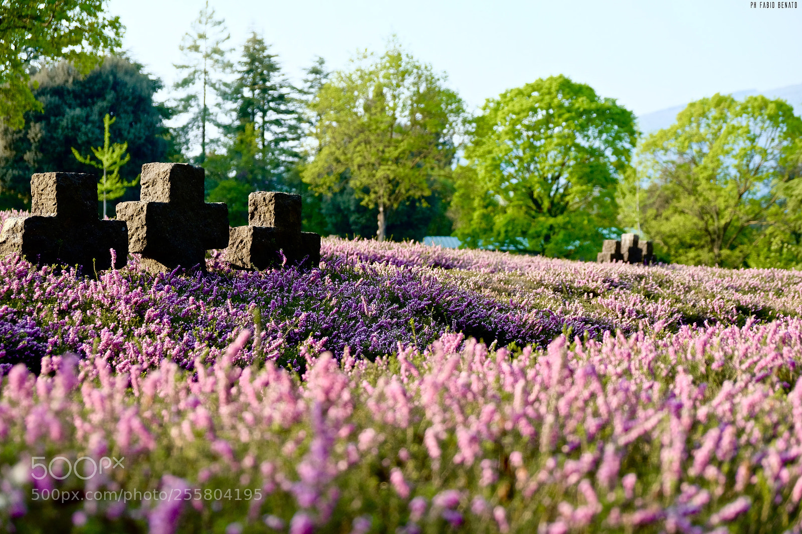 Fujifilm X-T2 sample photo. German war cemetery photography