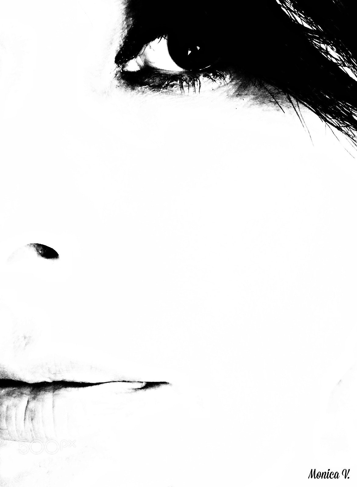 Canon PowerShot SX50 HS sample photo. Untitled photography