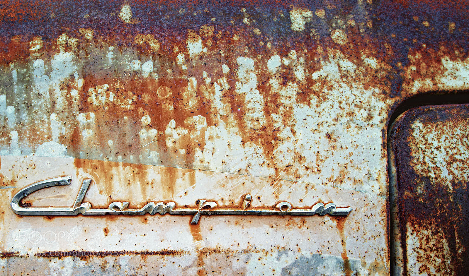 Canon EOS 5D Mark II sample photo. Moth and rust doth photography
