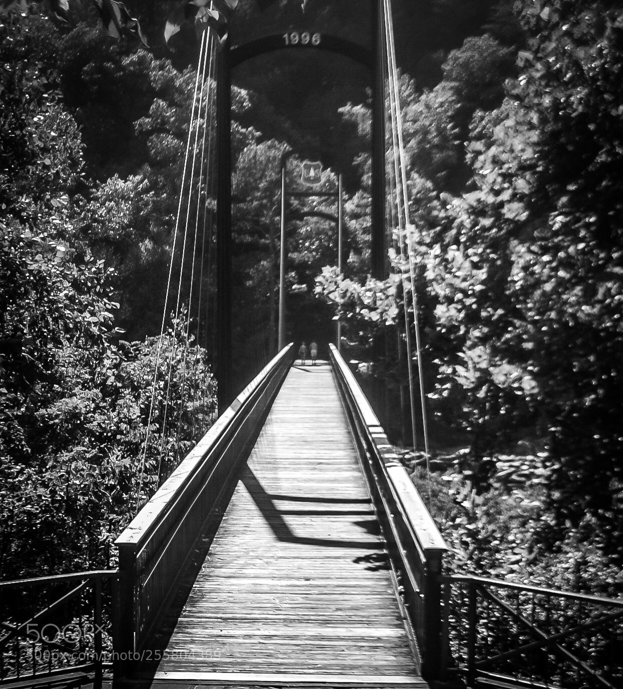 Nikon D3100 sample photo. One way bridge photography