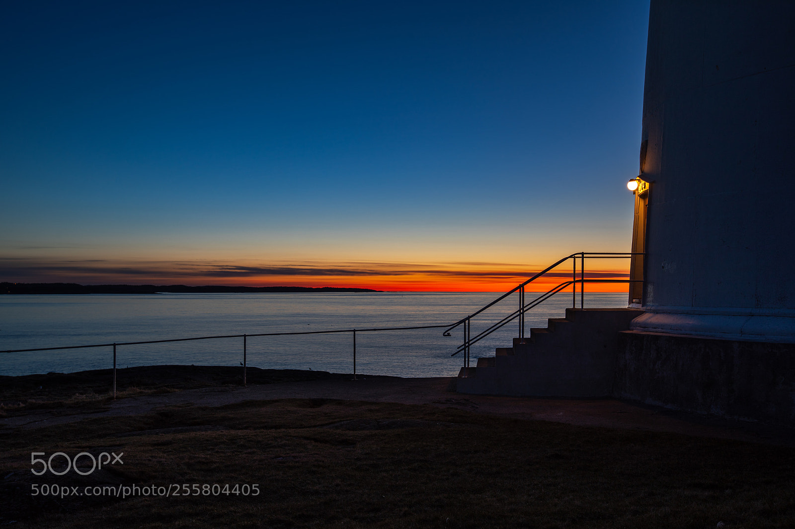 Canon EOS 5D Mark IV sample photo. Step into the light photography