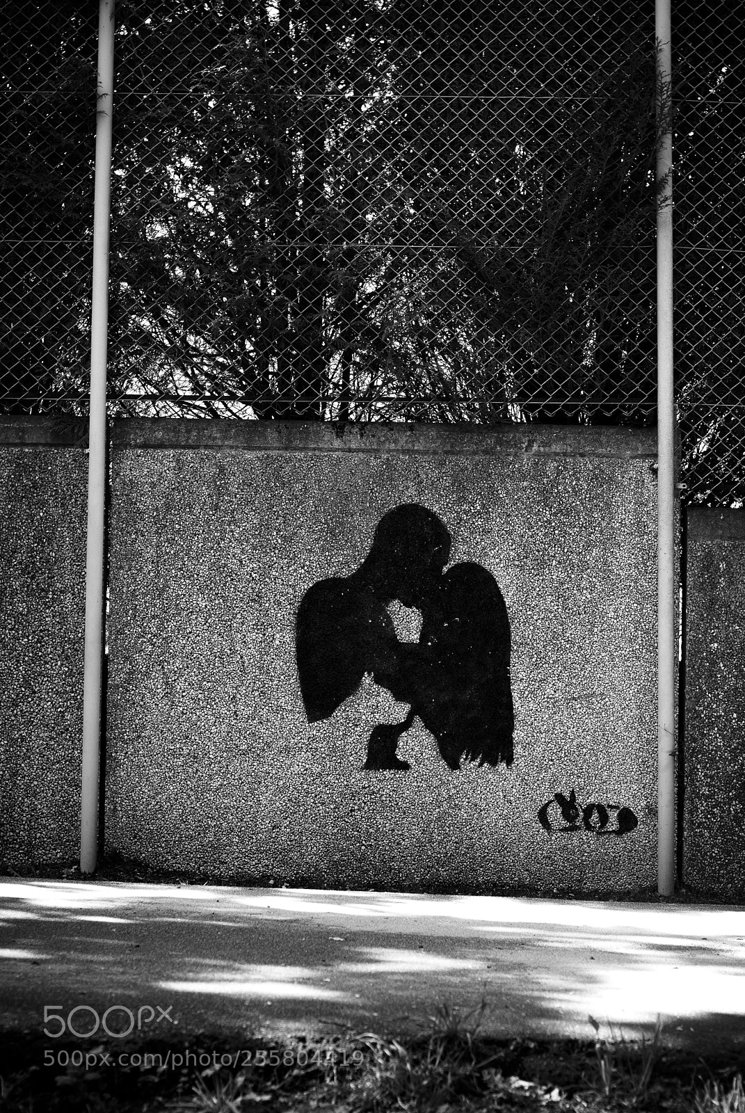 Nikon D80 sample photo. Grafitti photography