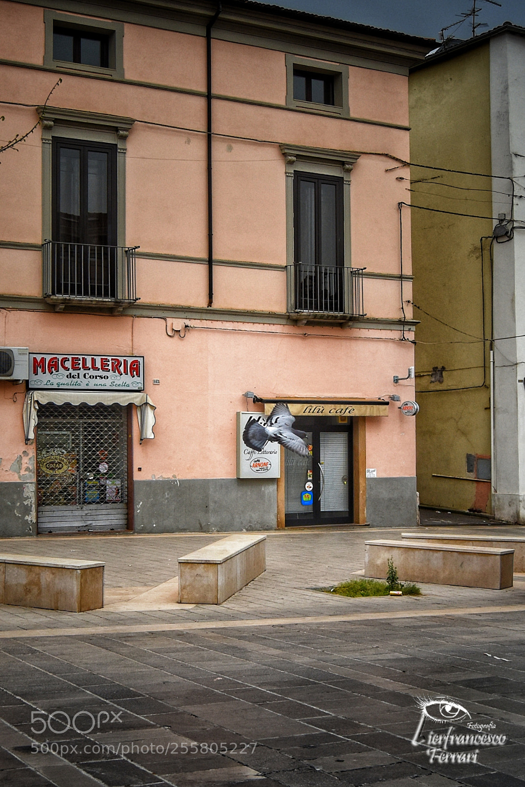 Nikon D7200 sample photo. #photowalking2018 #quintatappa #castrovillari photography