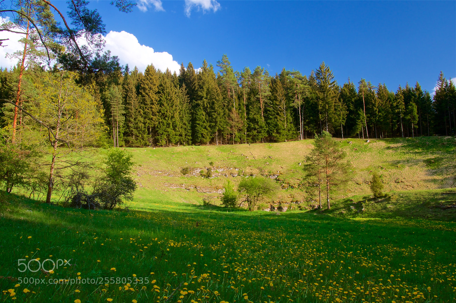 Pentax K-3 II sample photo. Spring in leinleitertal photography