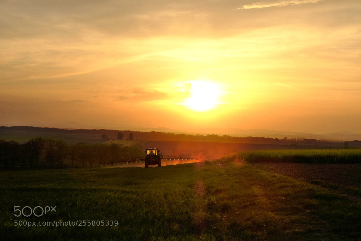 Fujifilm X-T20 sample photo. Polska wieś photography