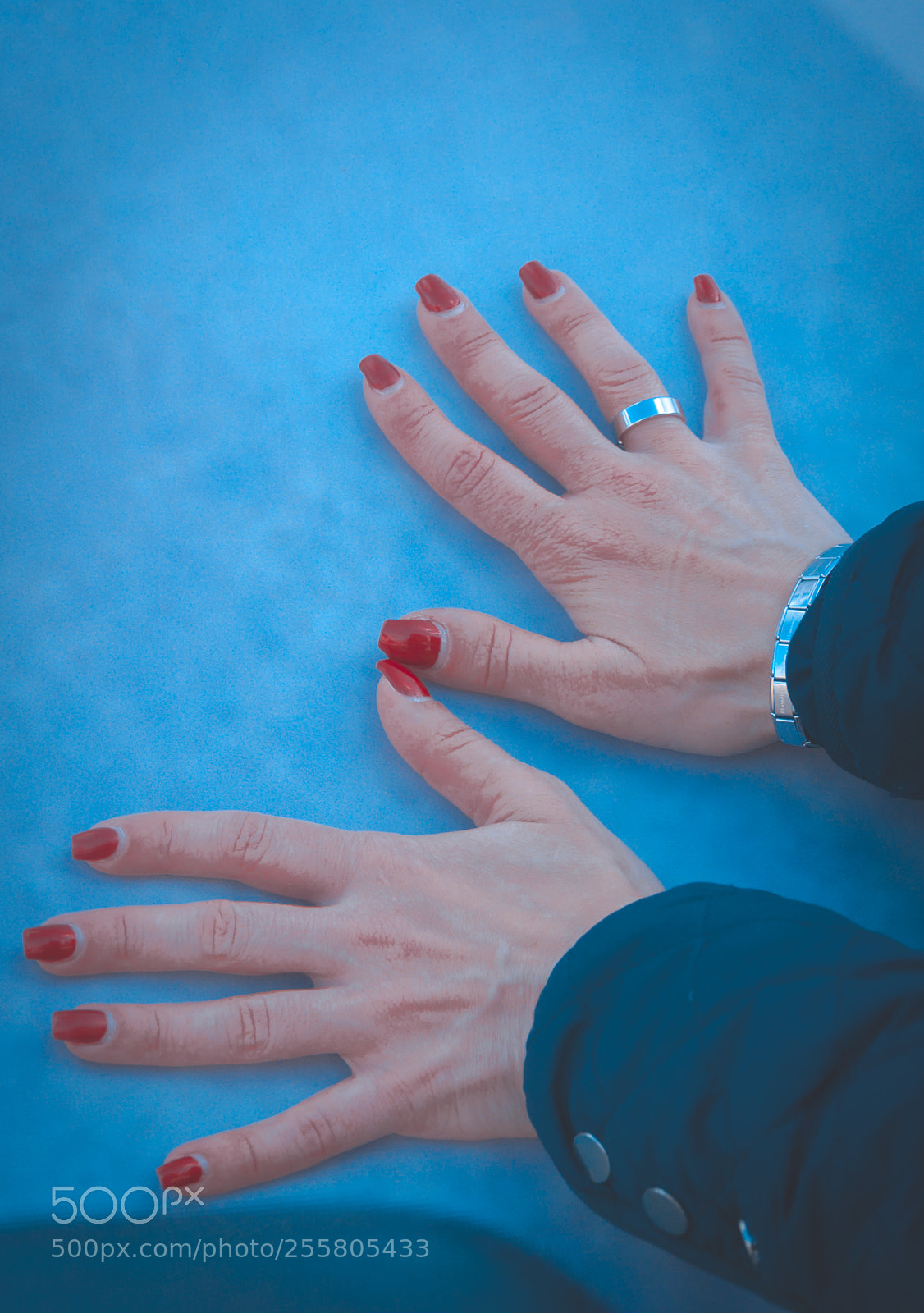 Nikon D5000 sample photo. Red hot photography