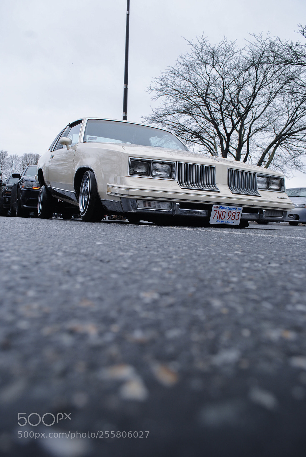 Nikon D3000 sample photo. How low can you photography