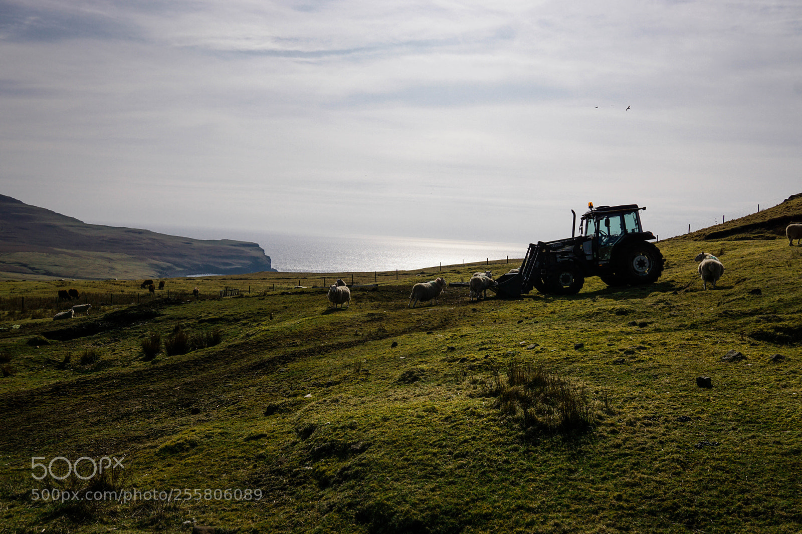 Sony a6000 sample photo. Dsc01831-1.jpg photography