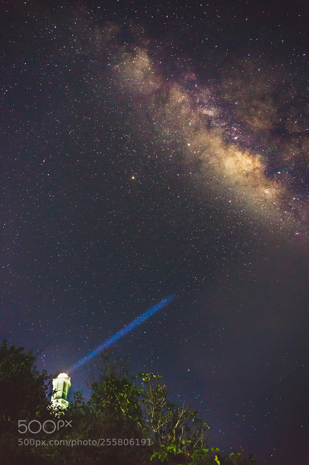 Sony a6000 sample photo. Under the stars photography