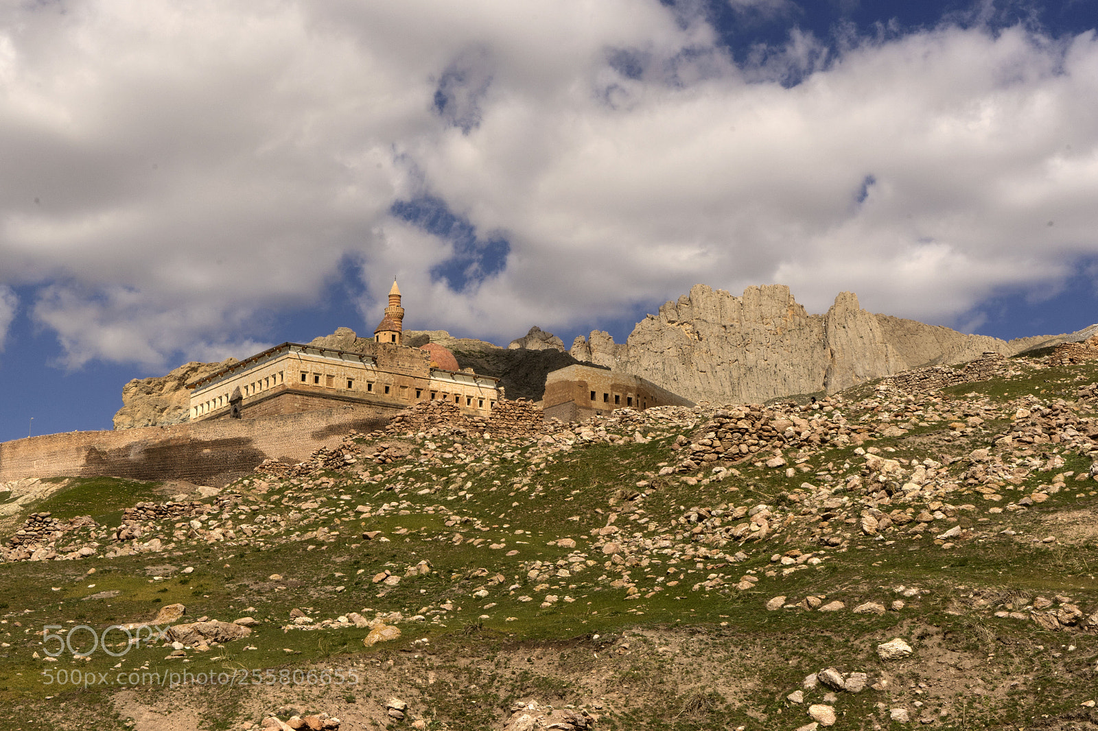 Sony a7 sample photo. Shak pa a saray photography