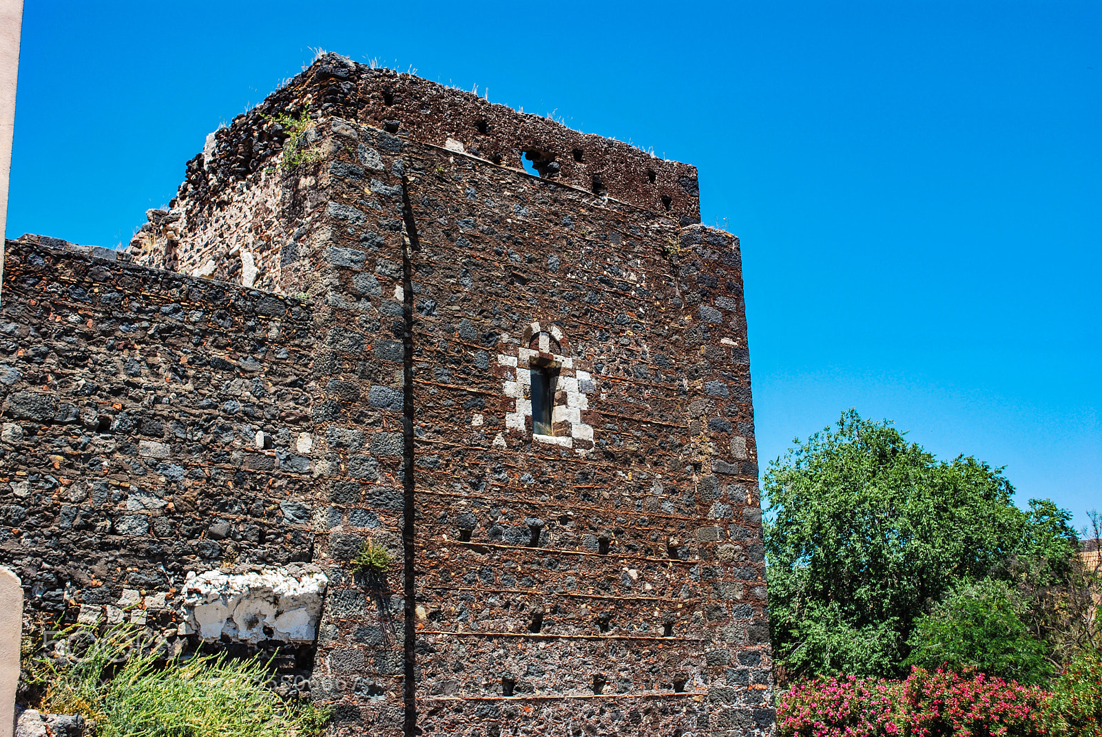 Nikon D60 sample photo. San francesco alla collina photography