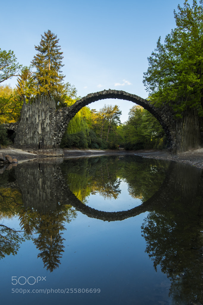 Nikon D500 sample photo. Circle photography
