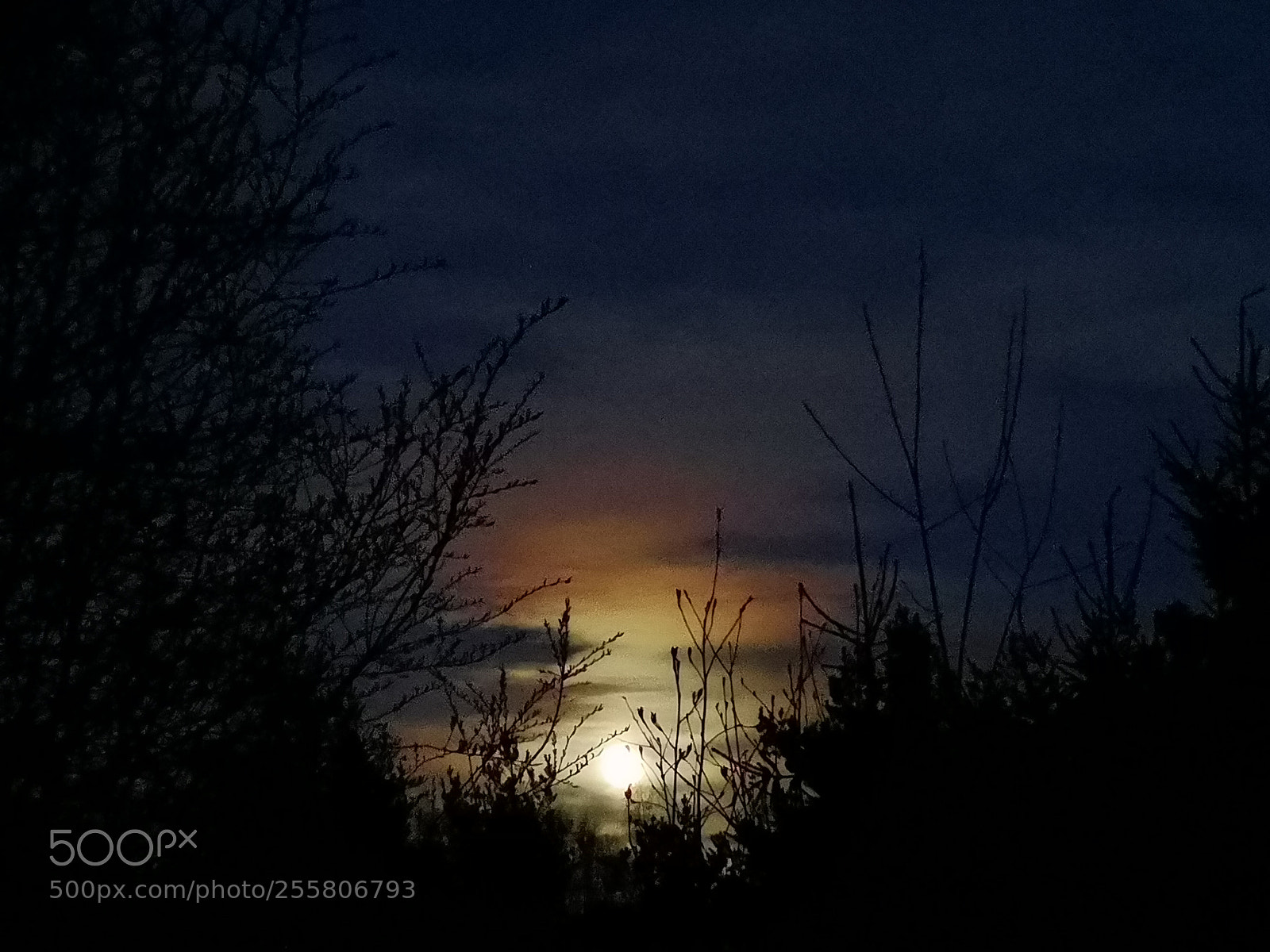 HUAWEI CLT-L29 sample photo. Moon before midnight photography