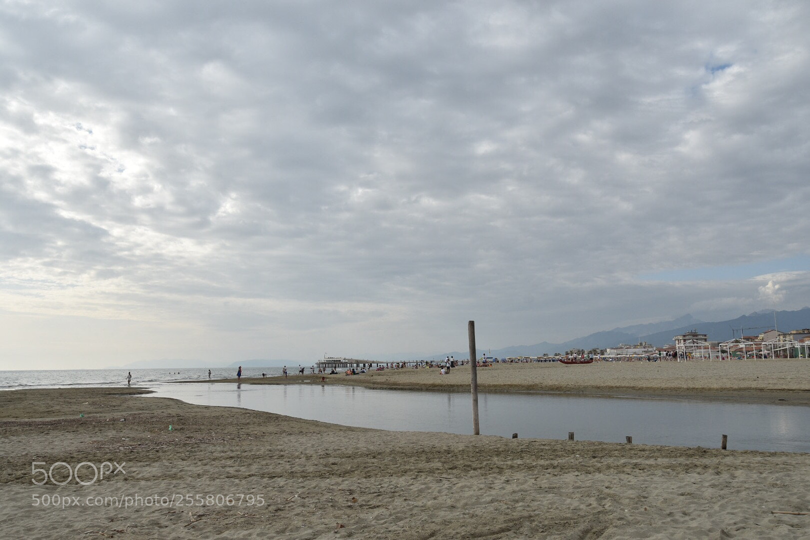 Nikon D7200 sample photo. Untitled photography