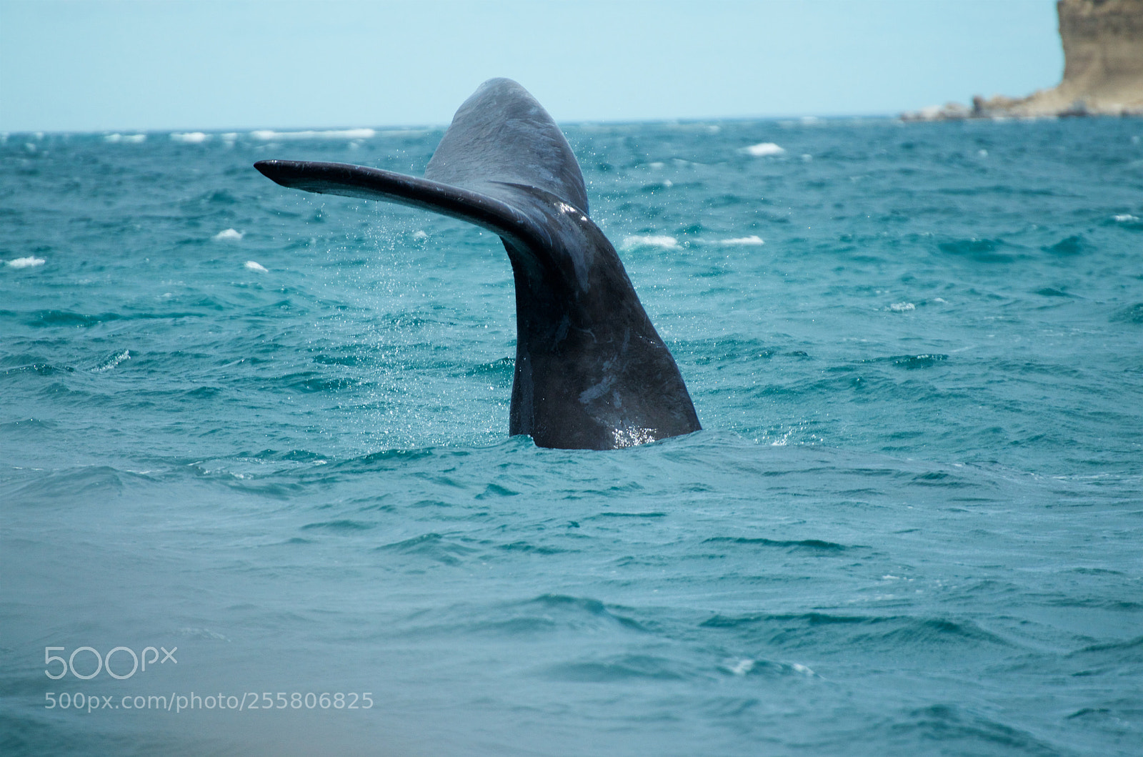 Nikon D7000 sample photo. Puerto piramides photography