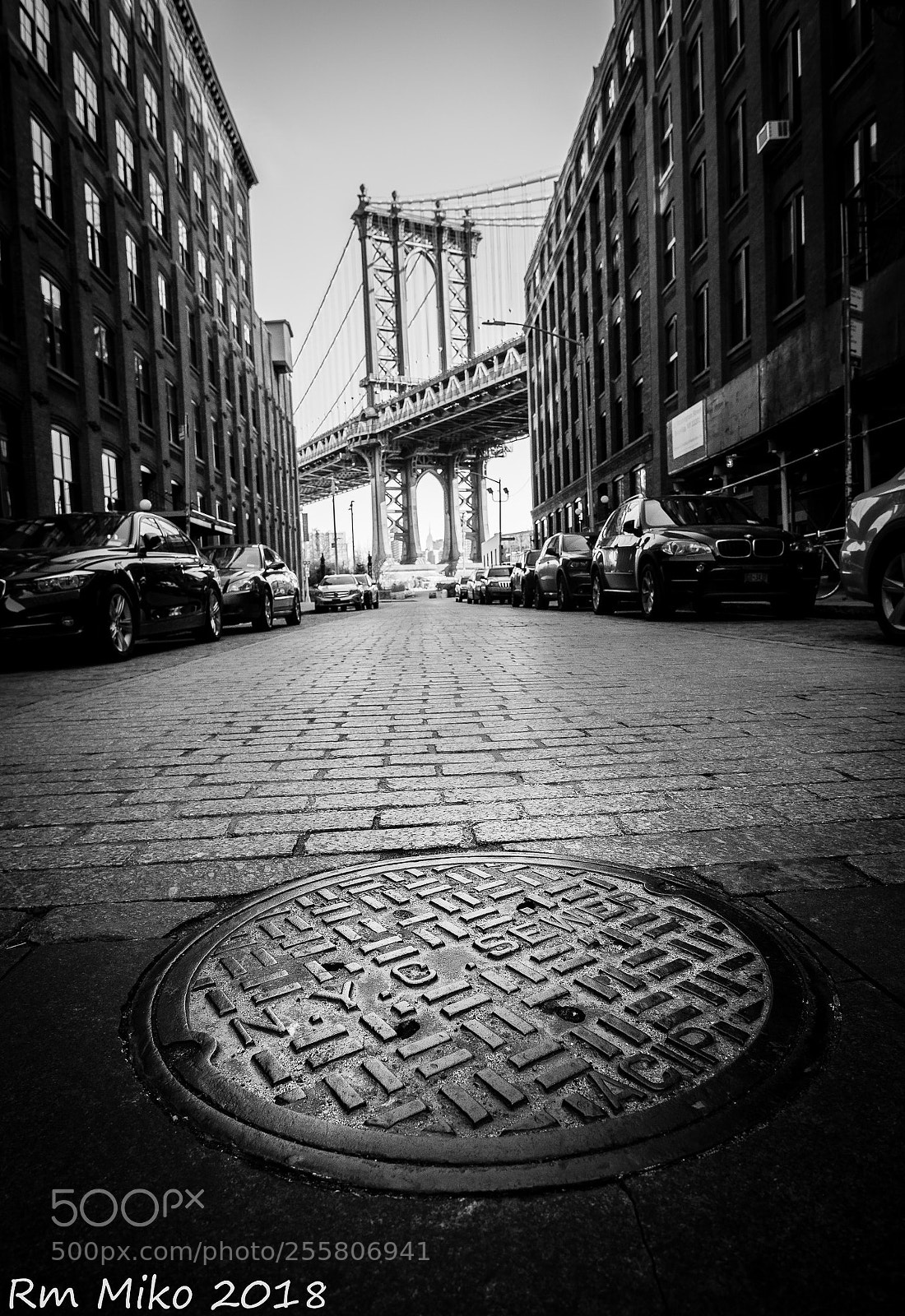Nikon D600 sample photo. Brooklyn sewer photography