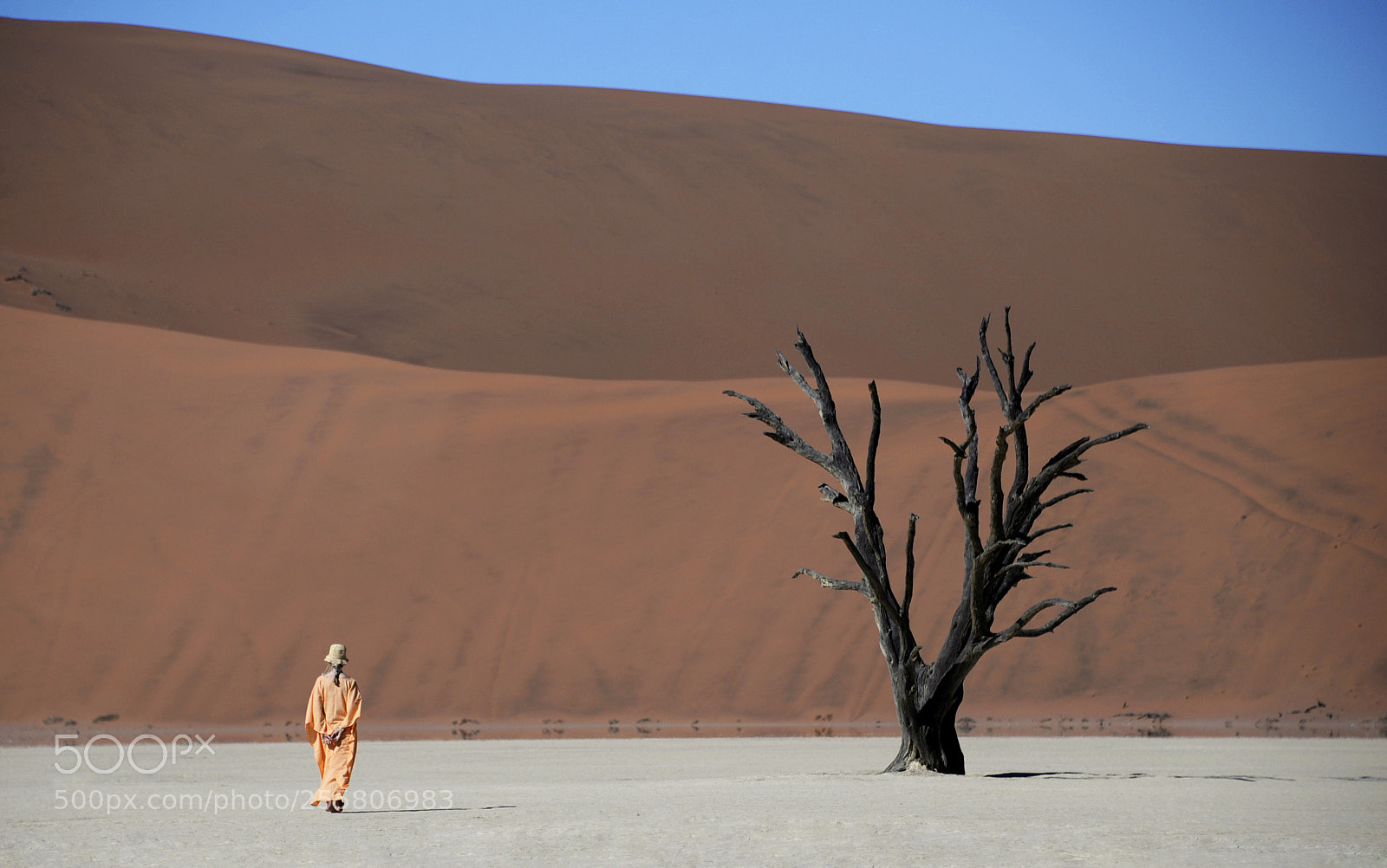 Nikon D610 sample photo. Alone in the dead photography