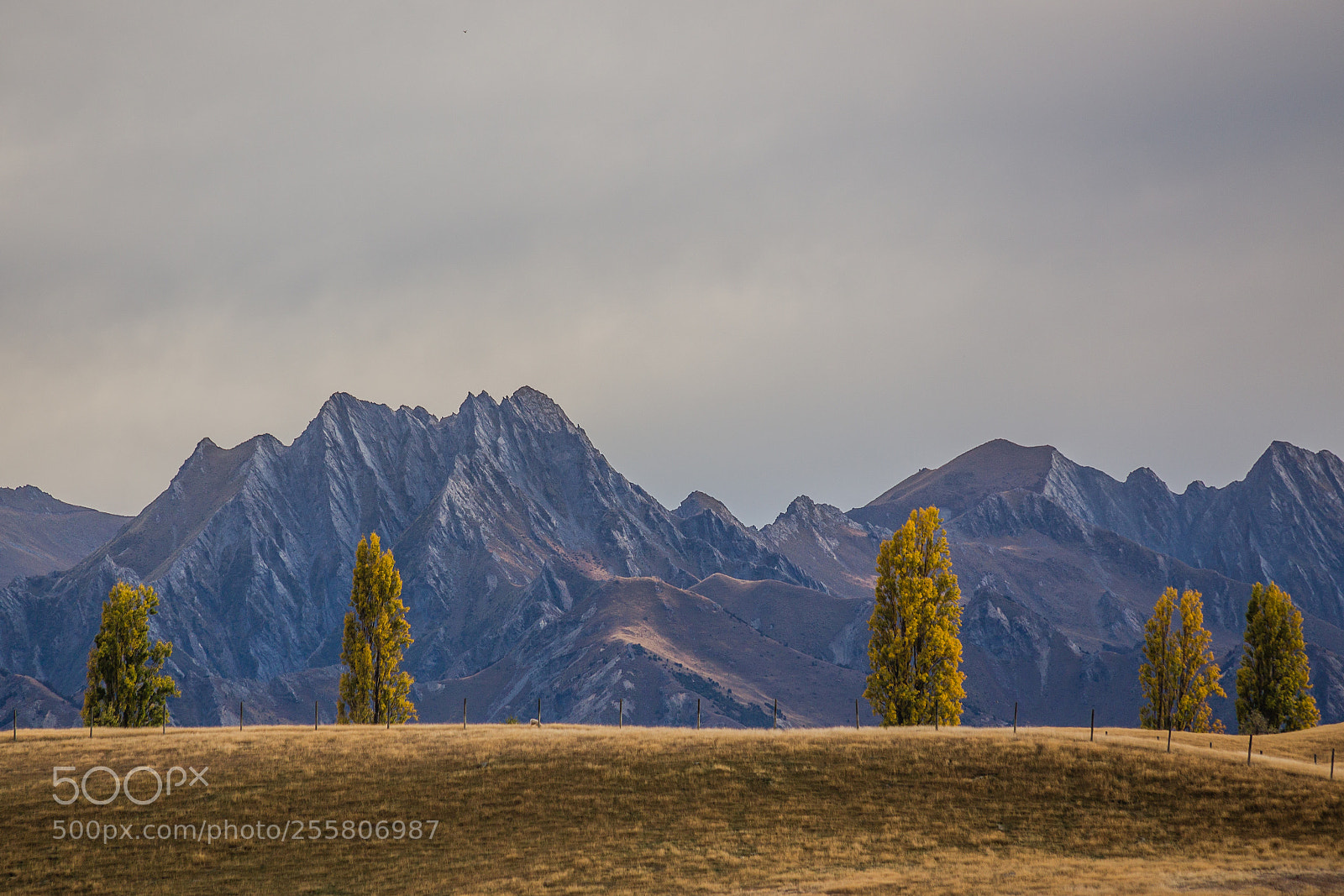 Canon EOS 6D sample photo. New zealand photography