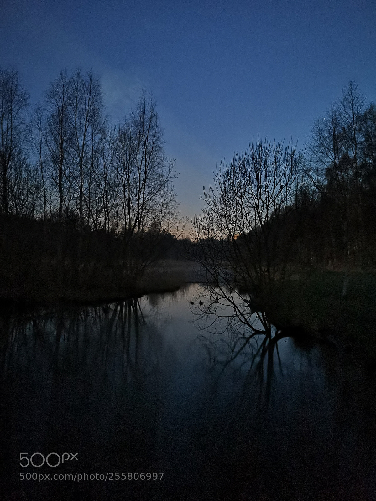 HUAWEI CLT-L29 sample photo. Deep night photography