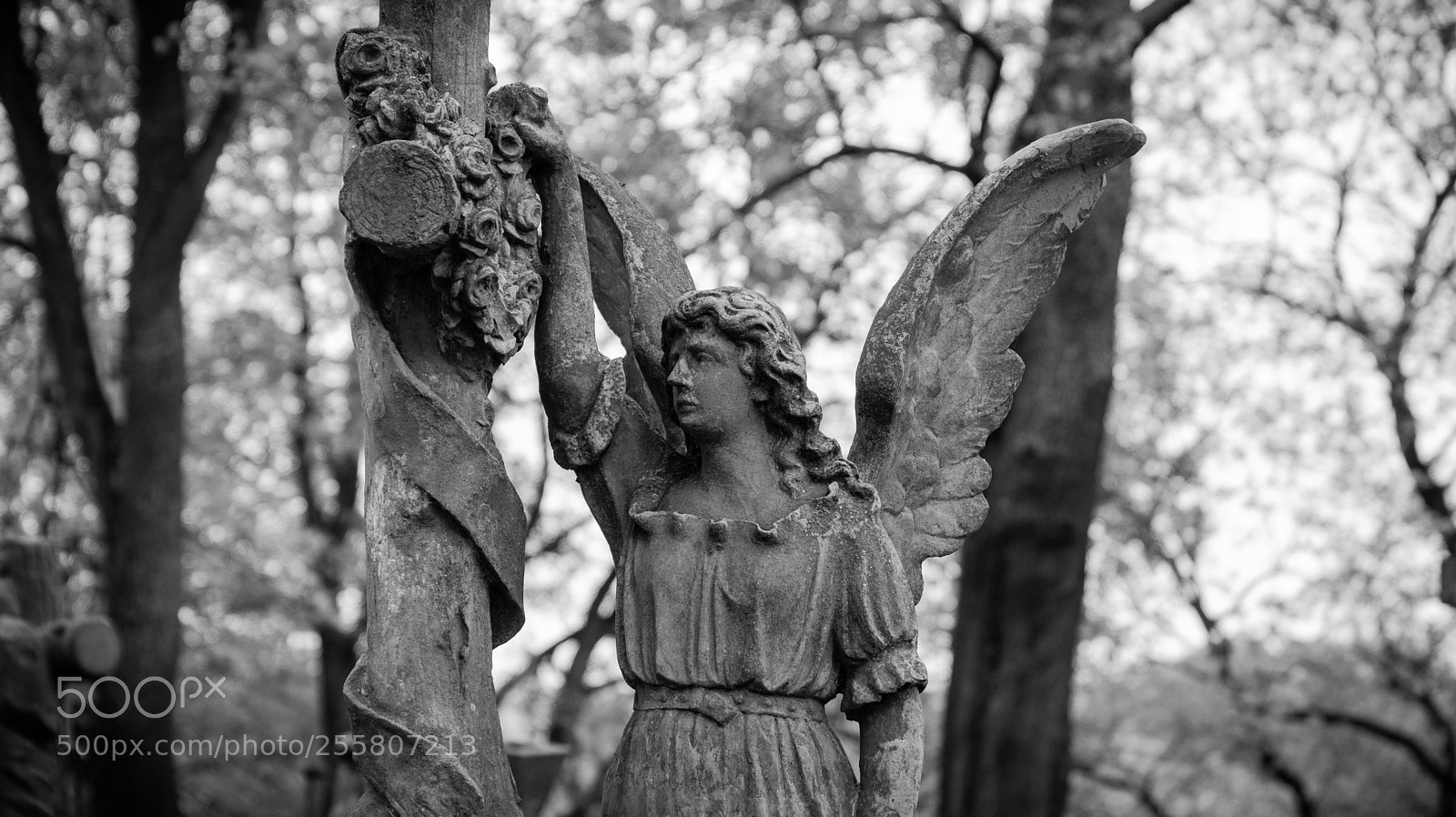 Sony a6500 sample photo. Užupis photography