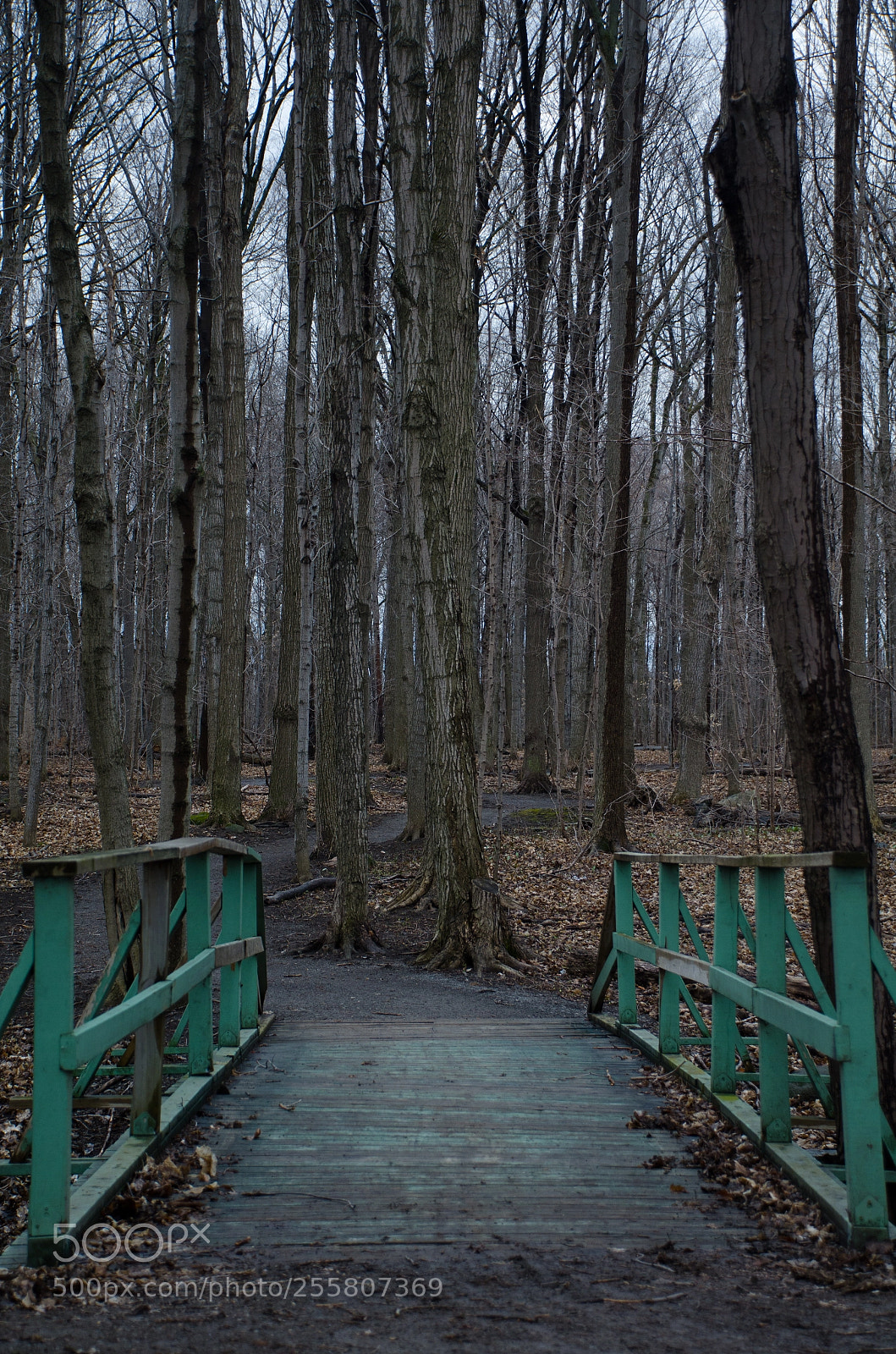 Nikon D7000 sample photo. Troll's bridge photography