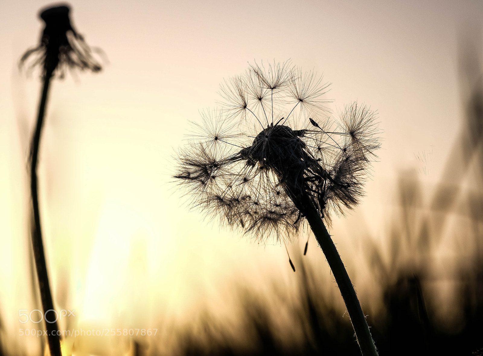 Fujifilm X-T1 sample photo. Sunset photography