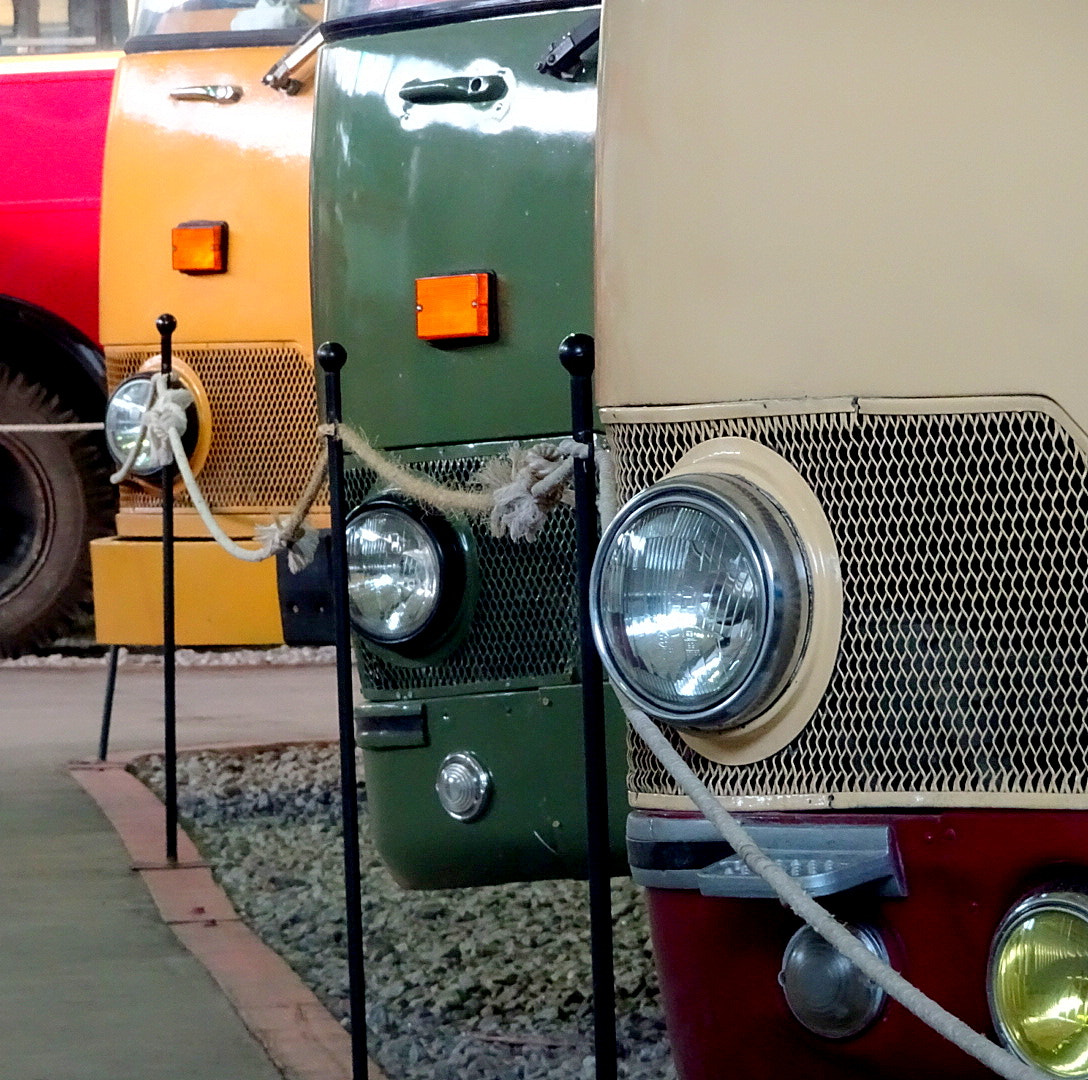 Sony DSC-HX90 sample photo. Mtmuseu photography