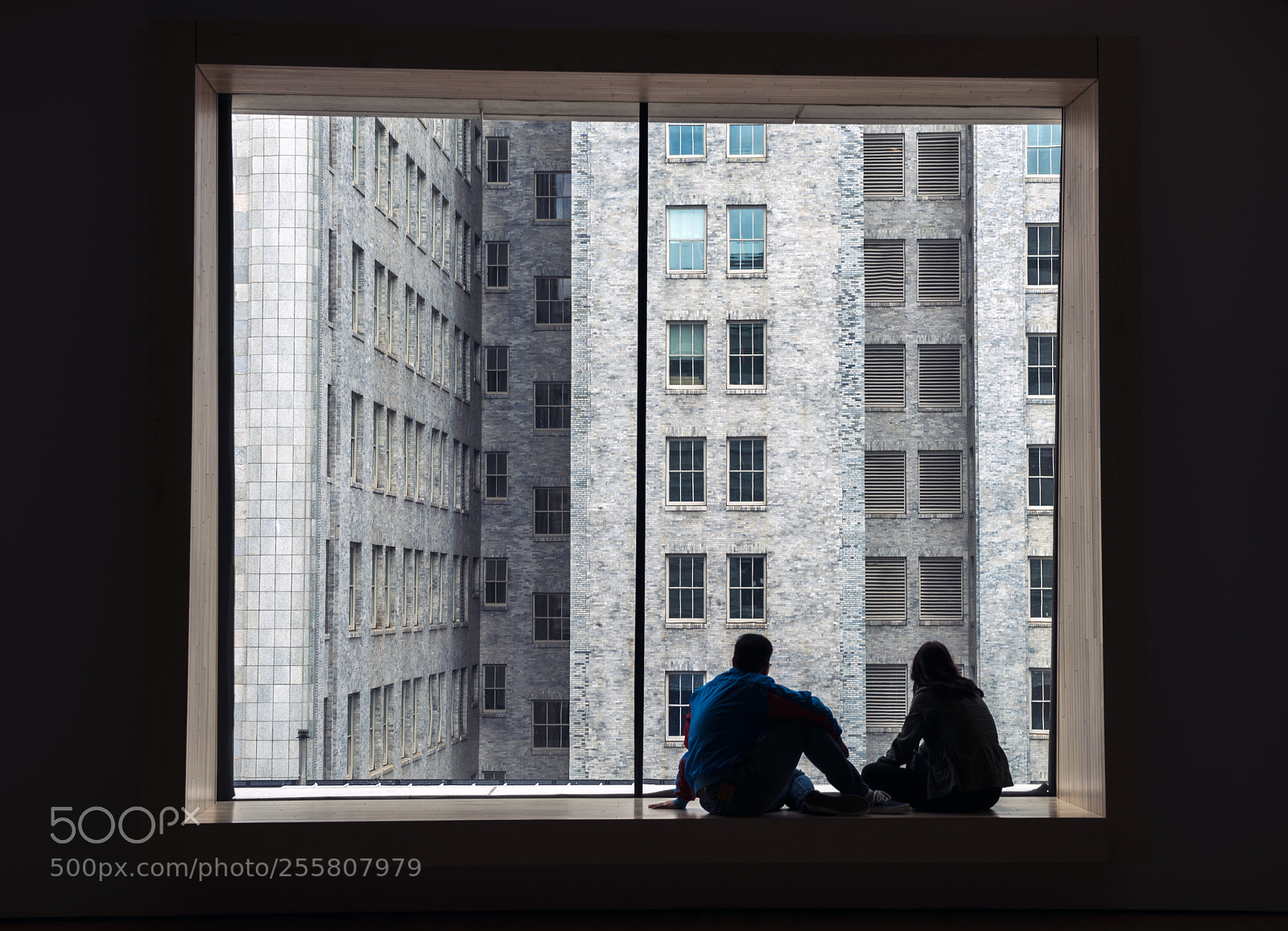 Nikon D610 sample photo. Window photography