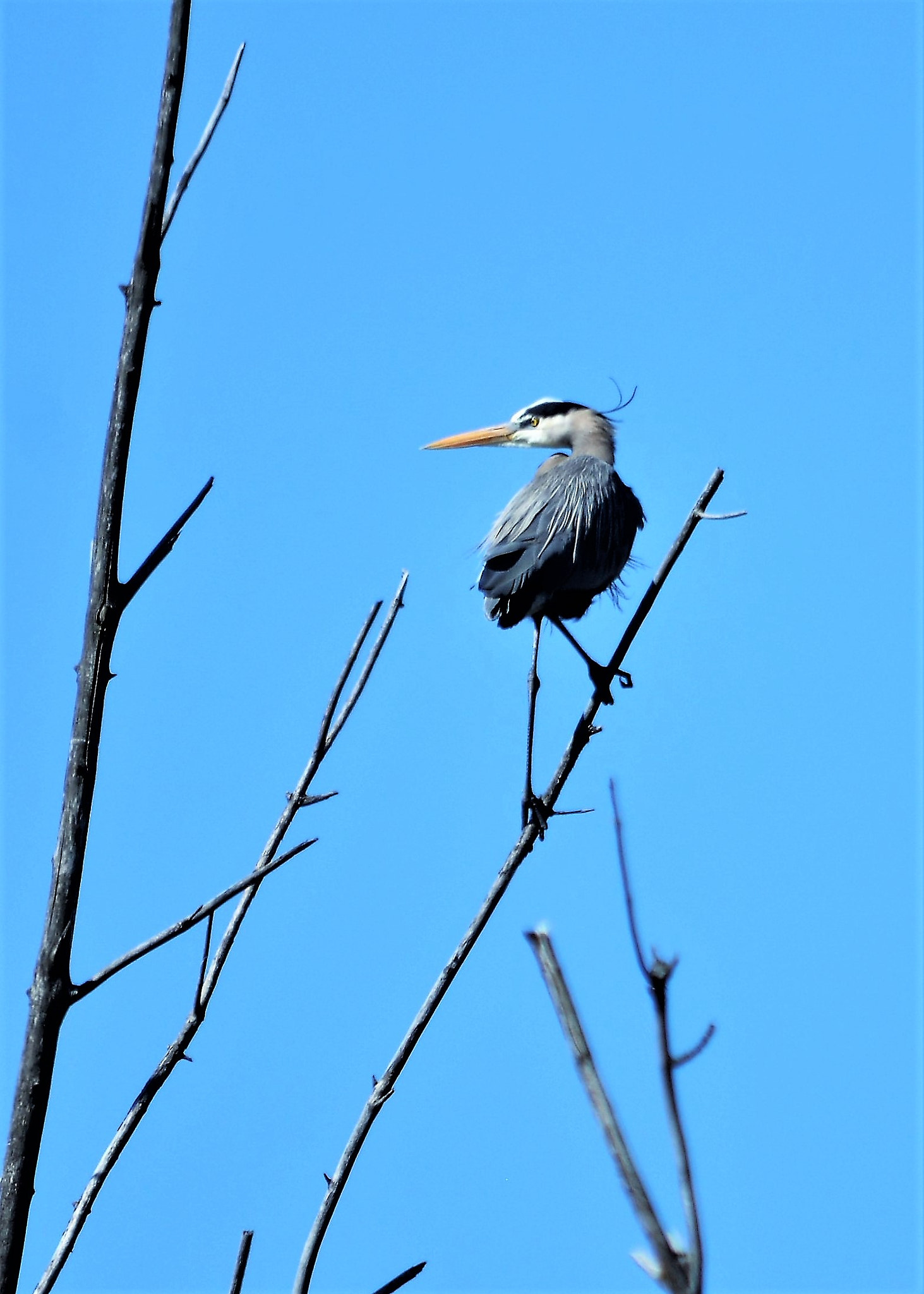 Nikon D7100 sample photo. Watching photography