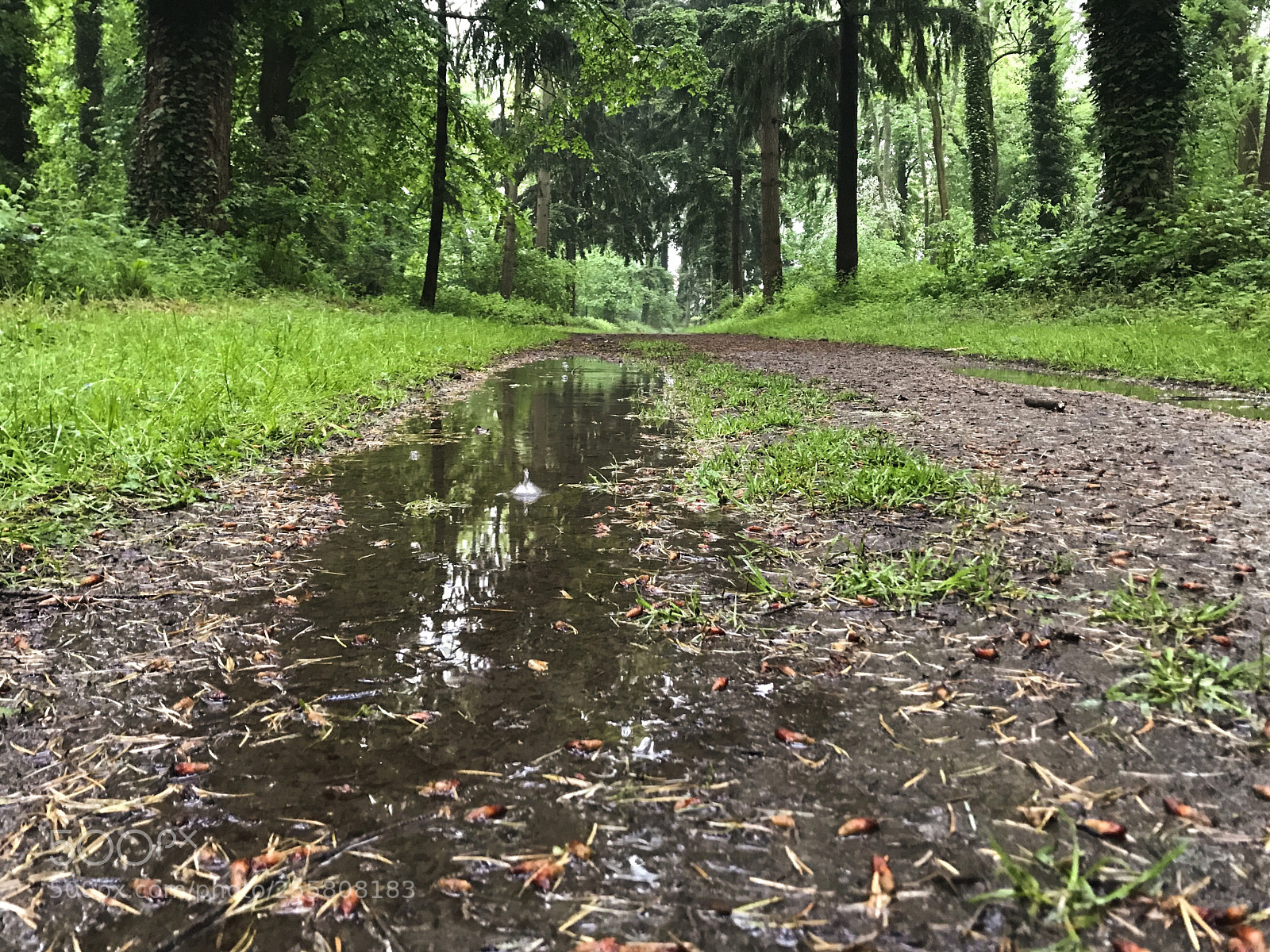 Apple iPhone 7 sample photo. Rainy day. photography