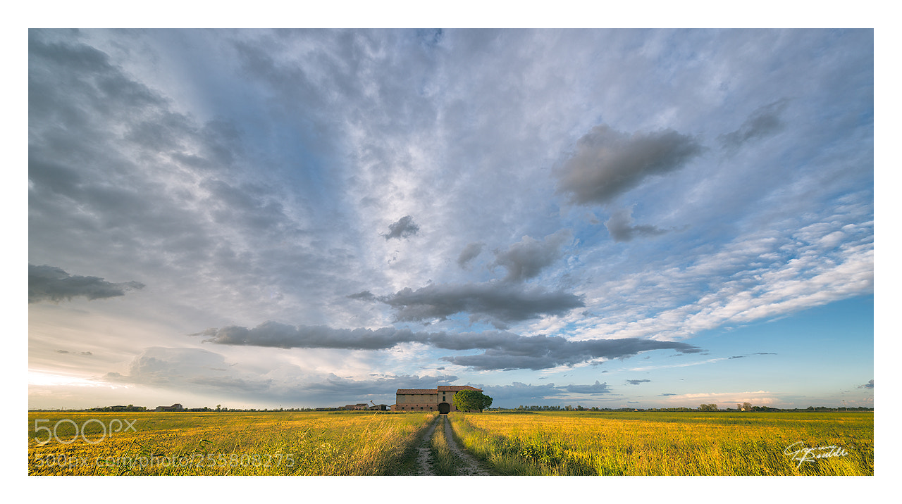 Nikon D800 sample photo. 14 mm di pianura padana photography