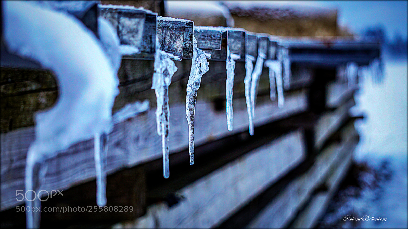 Sony a6000 sample photo. Cold was yesterday... photography