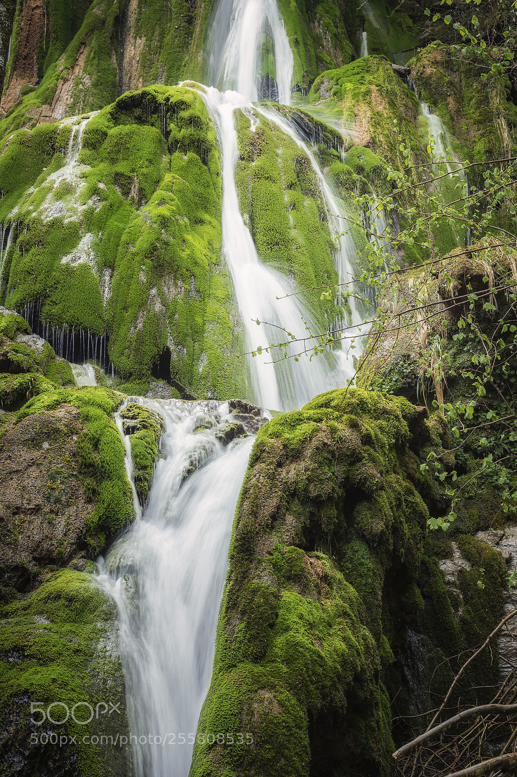 Nikon D5200 sample photo. Gorgeous water-ballast photography