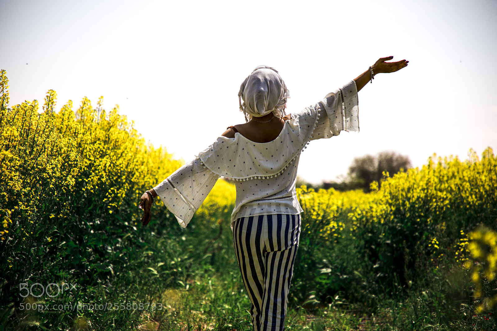 Canon EOS 5D Mark IV sample photo. Freedom photography