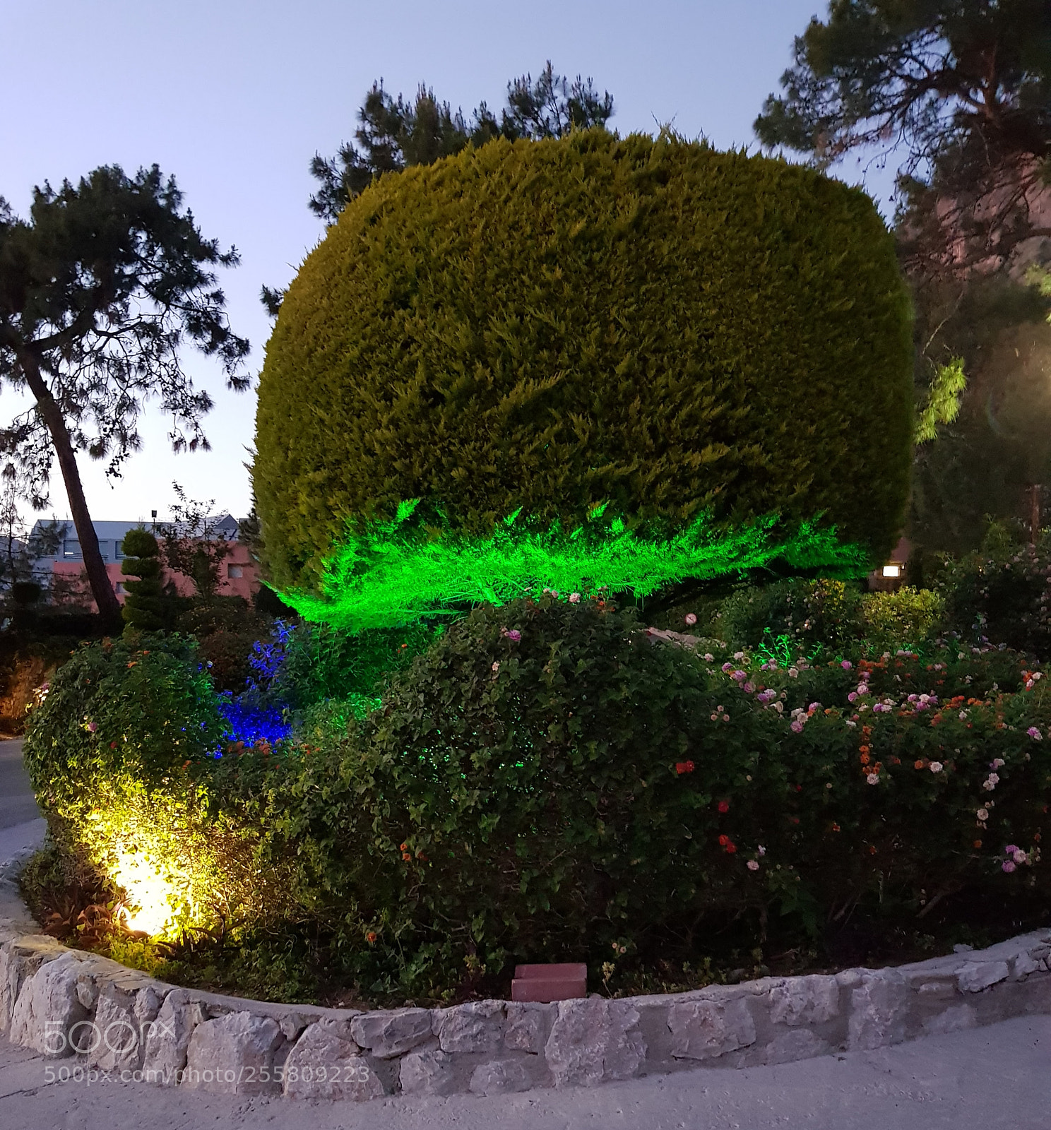 Samsung Galaxy S8 sample photo. Night time approaching. photography