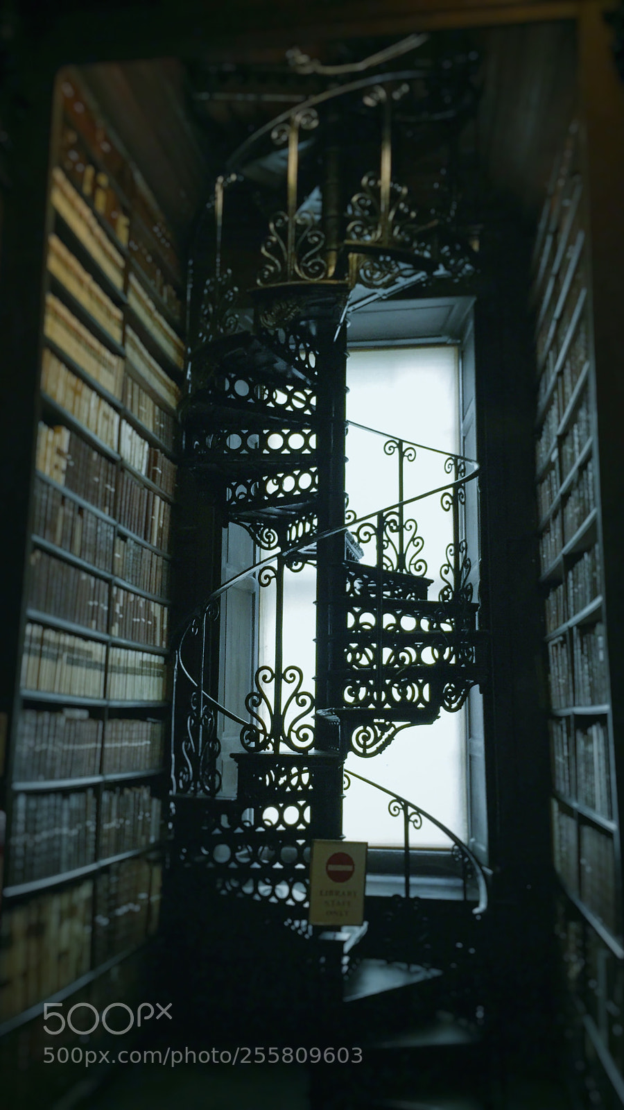 Apple iPhone 6 sample photo. Trinity college library staircase photography