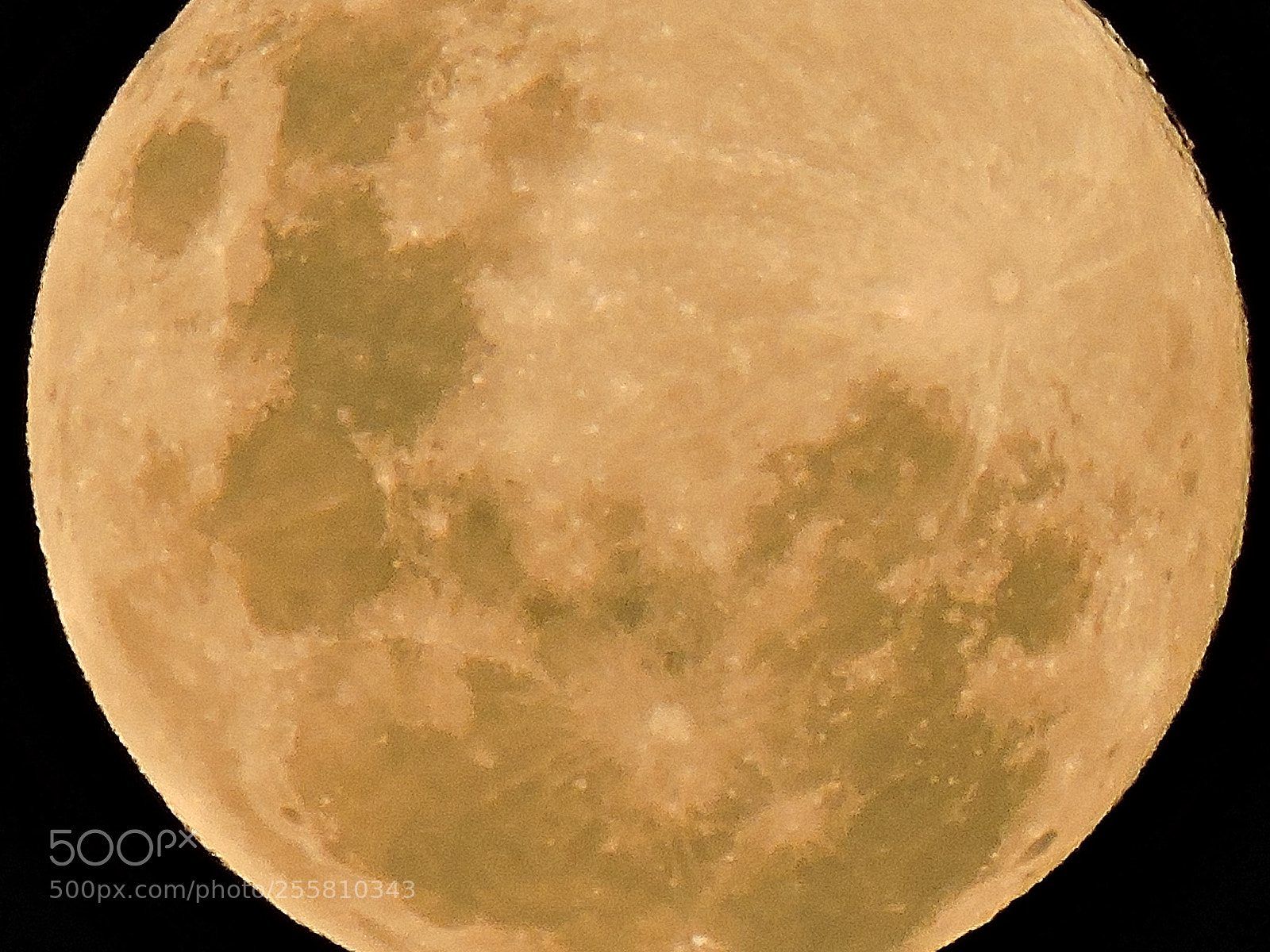 Nikon Coolpix P530 sample photo. Moon photography