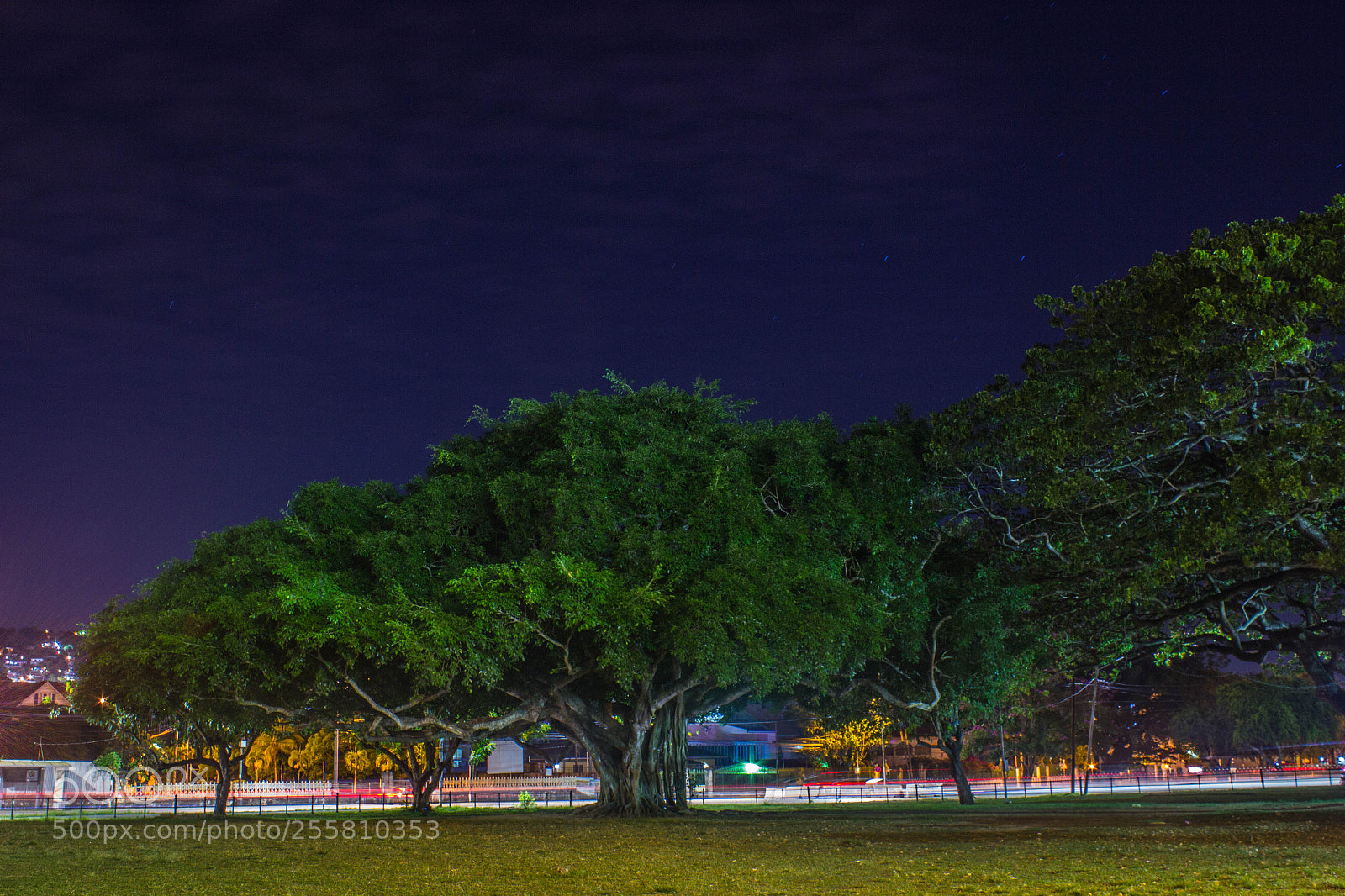 Canon EOS 600D (Rebel EOS T3i / EOS Kiss X5) sample photo. Savannah at night photography