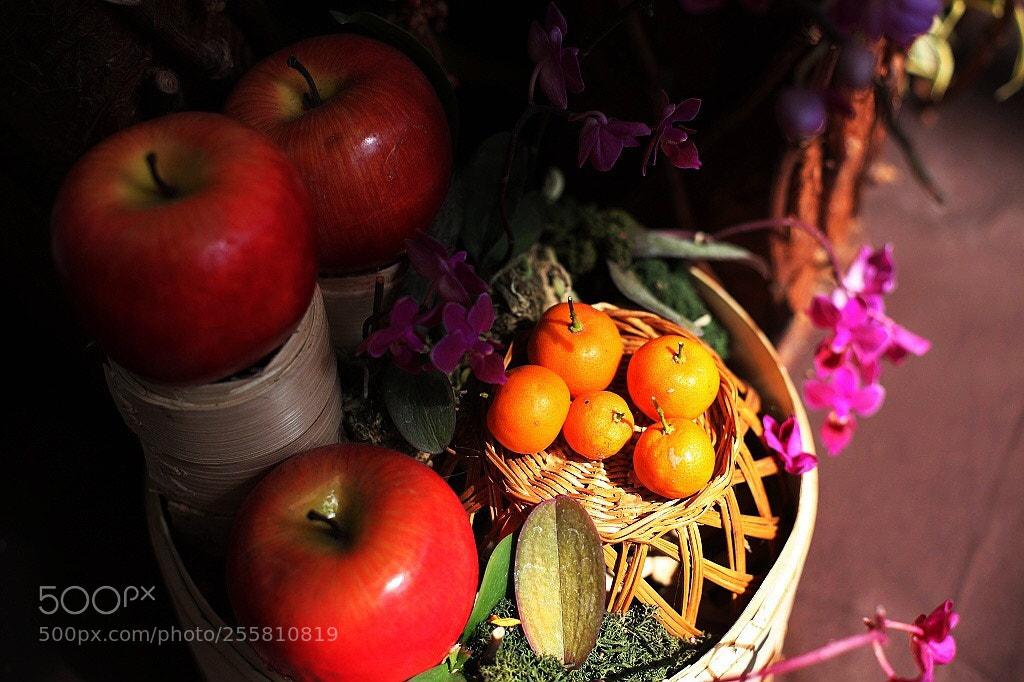 Canon EOS 5D Mark II sample photo. Untitled photography